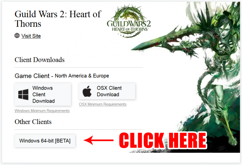 Guild Wars 2 Mac Os Download
